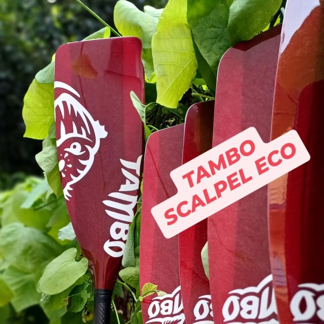 Our favourite paddle TAMBO SCALPEL ECO 🏄‍♂️🧨✨️ vario(2pcs) or compact (3pcs) Available in eshop PBSHOP.CZ...